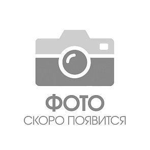 Наша команда